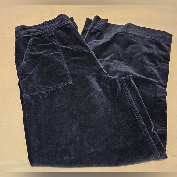 Frye Velvet Pants NWOT Navy Blue 27 Wide Leg Nadia Ankle Pocket Trousers - Picture 3 of 9